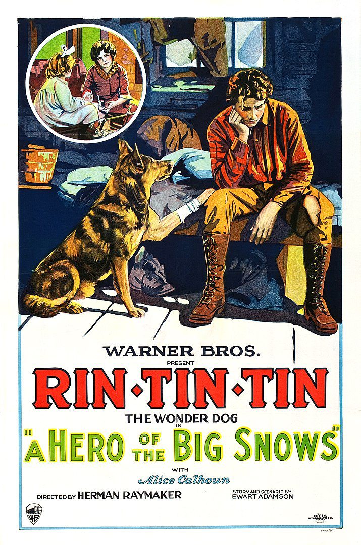 Rin Tin Tin