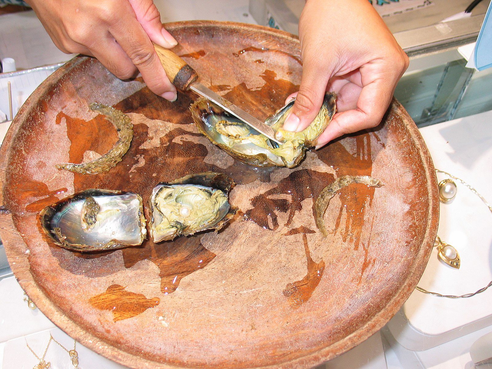 freshly shucked oyster