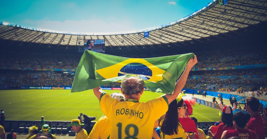football fever - a supporter waving a flag