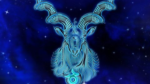 facts about Capricorn