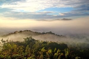 Fun Borneo Facts