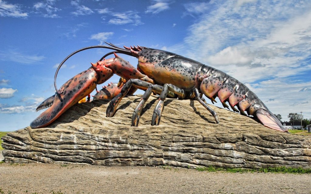 facts about lobsters