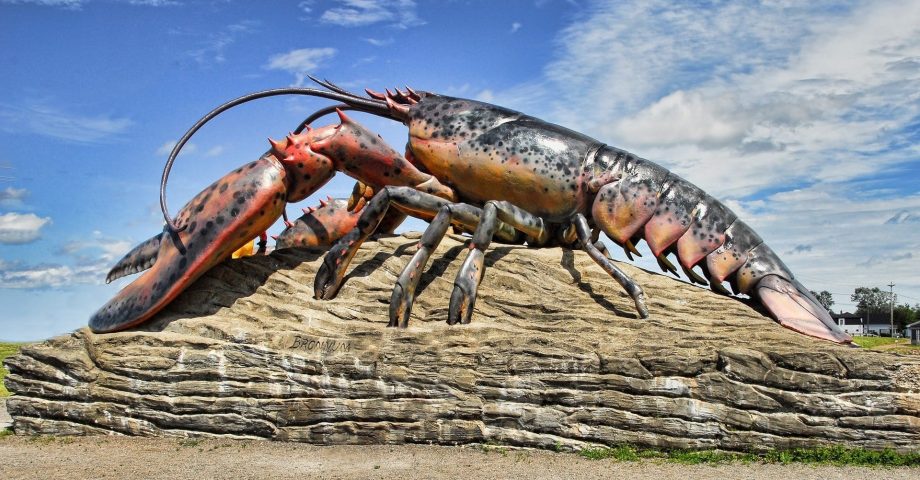 facts about lobsters