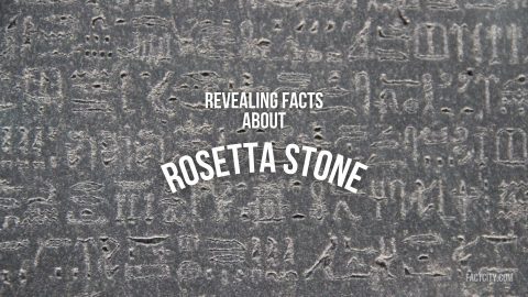 rosetta stone header