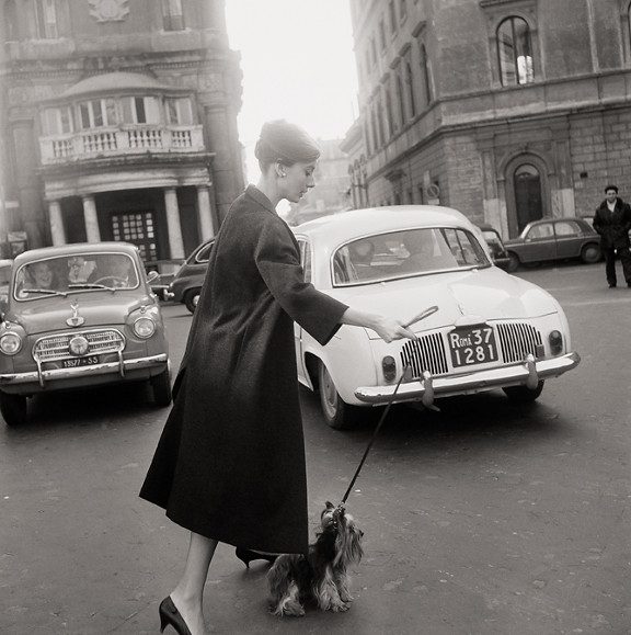 Audrey Hepburn and her Yorkie