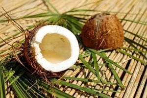 fun facts about coconuts