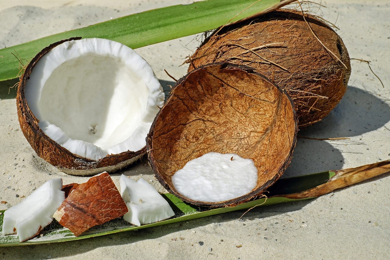 27 Incredible Facts about Coconuts Fact City