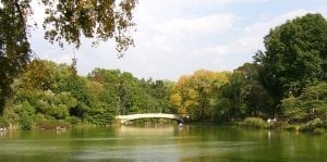 Lake in Central Park, New York