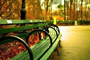 Green bench in Central Park