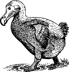Illustration of the dodo bird