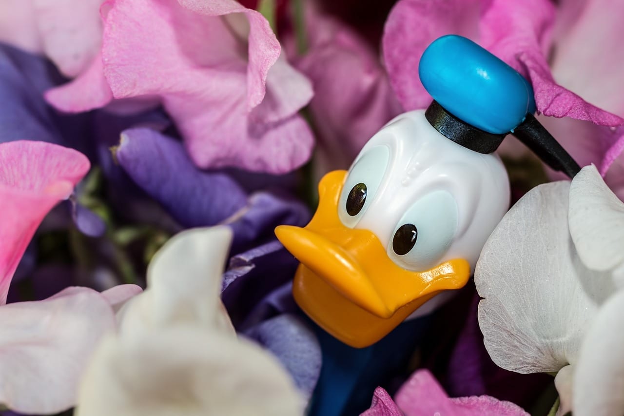 12 Fun Facts about Donald Duck - Fact City