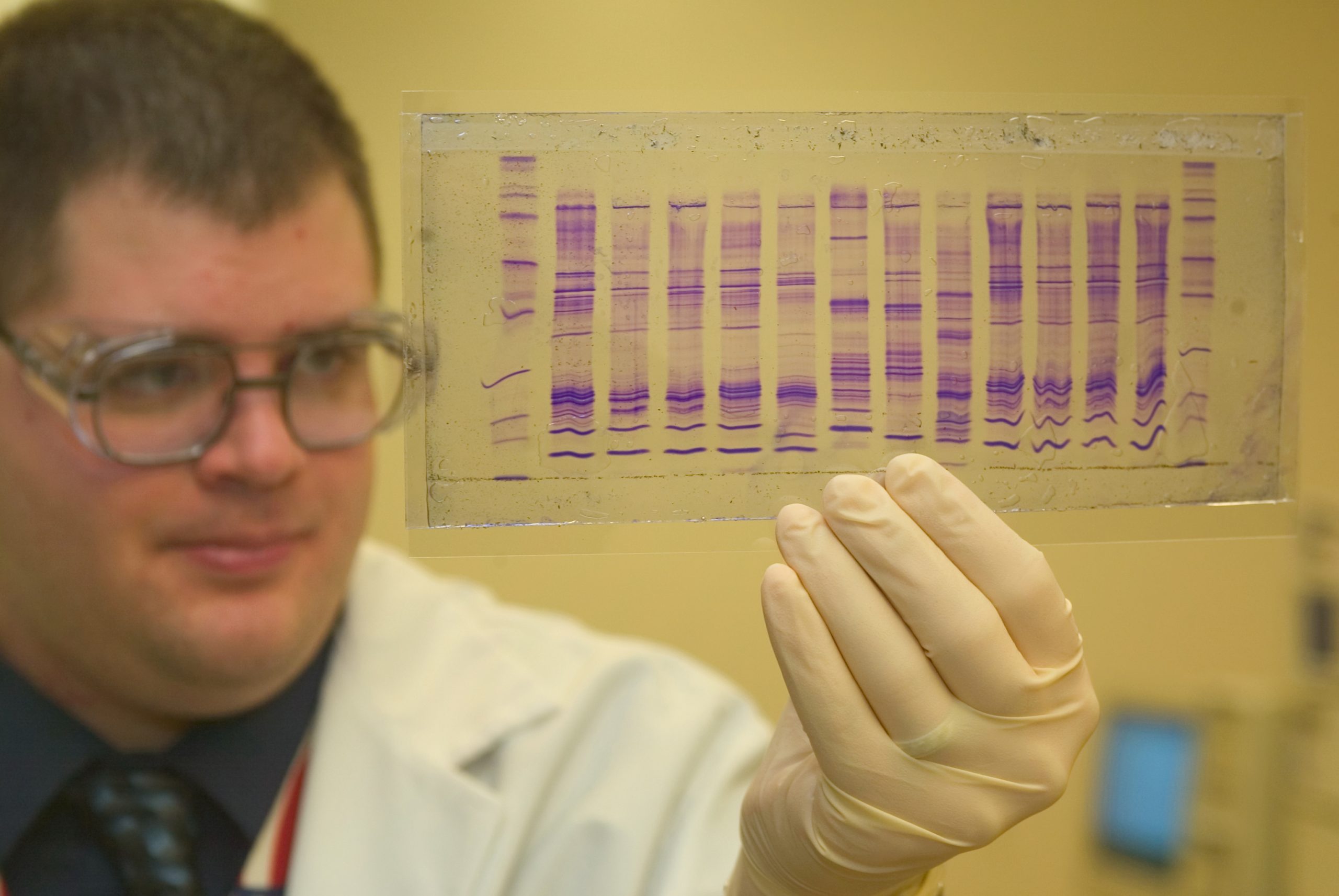 facts about DNA