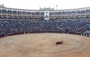 Bull fighting in Madrid