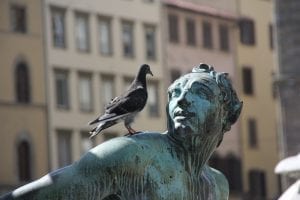 pigeon sitting on a statue