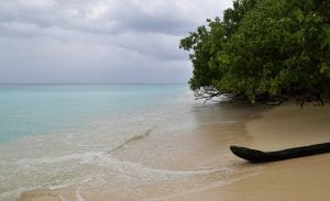 fun facts about the bay of bengal