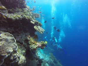 Scuba diving off the coast of Bali