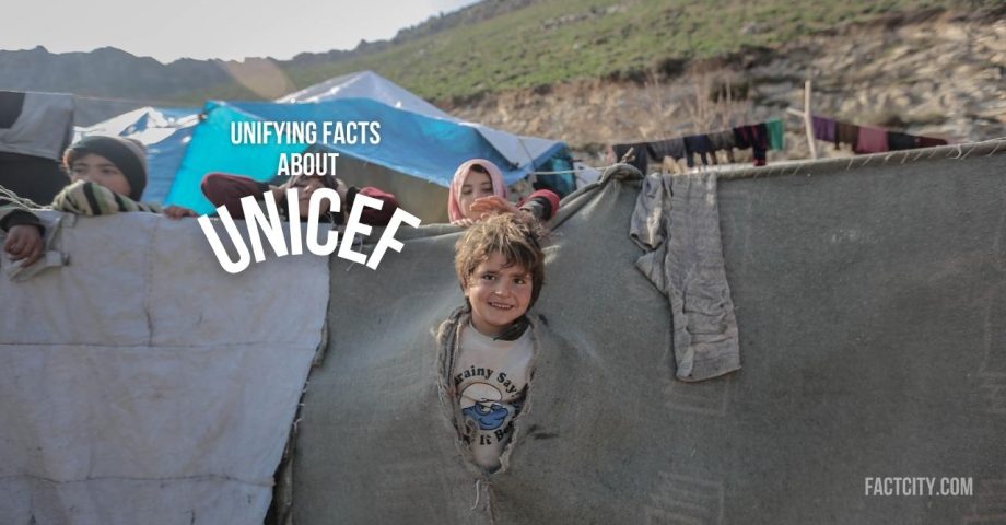 facts about UNICEF header