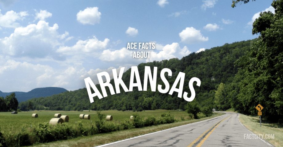 facts about arkansas 1