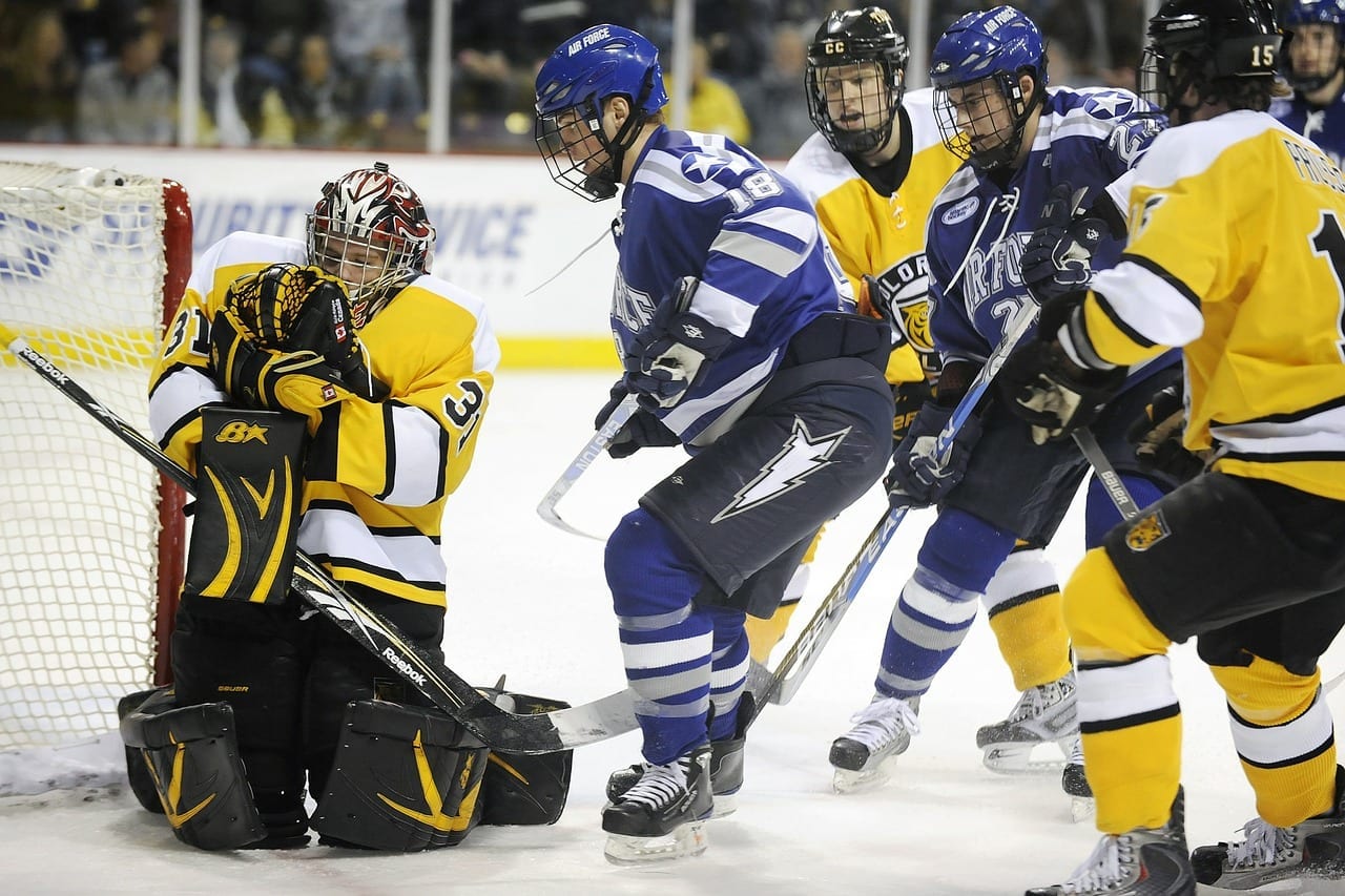 33 happy facts about ice hockey fact city
