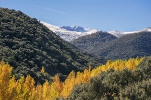 fun facts about sierra nevada