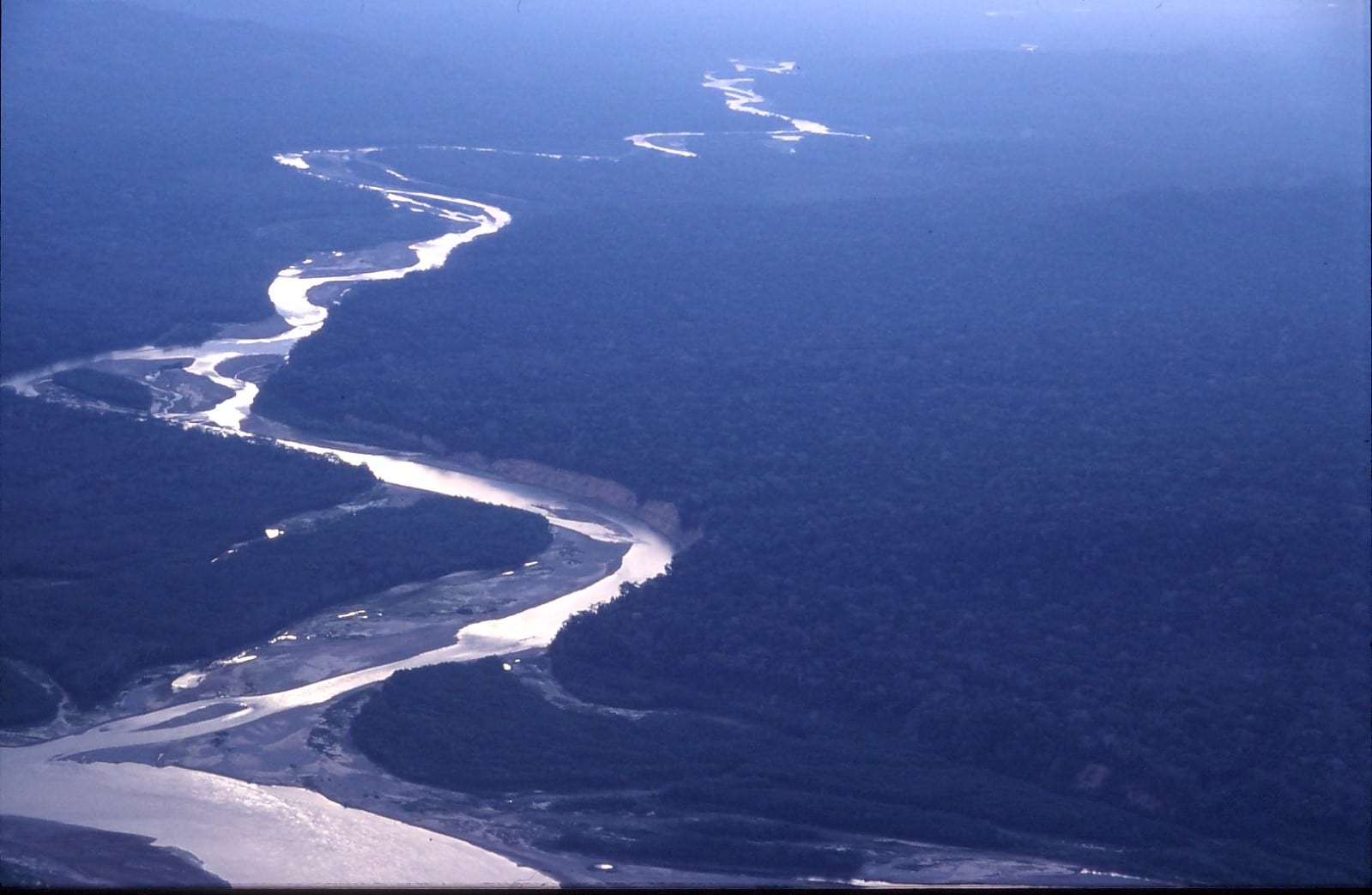 25 Amazing Facts About The Amazon Rainforest Fact City