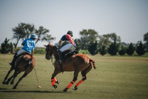 playing a game of Polo