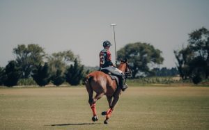 solo polo player with mallet in hand
