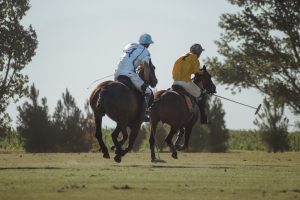 polo horses at speed