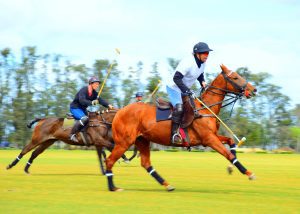 casual polo players