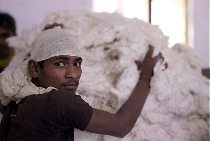 facts about cotton