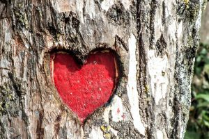 A red heart carved in to wood