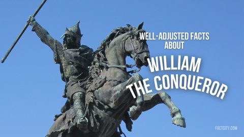 william the conqueror header