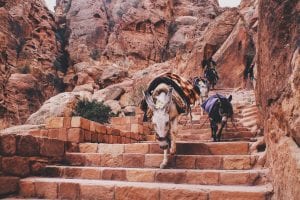 intesting facts about Petra