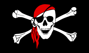 The Jolly Roger Pirate Flag