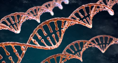 Spiral strands of DNA on the dark background