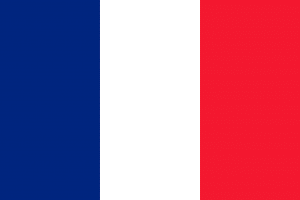 The French national flag, the 'Tricolor' in blue, white and red.