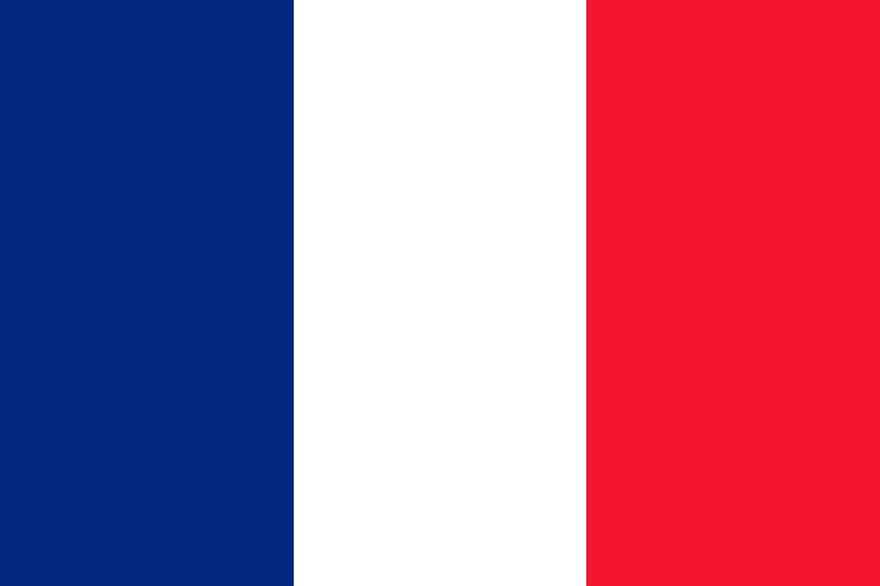The French national flag, the 'Tricolor' in blue, white and red.