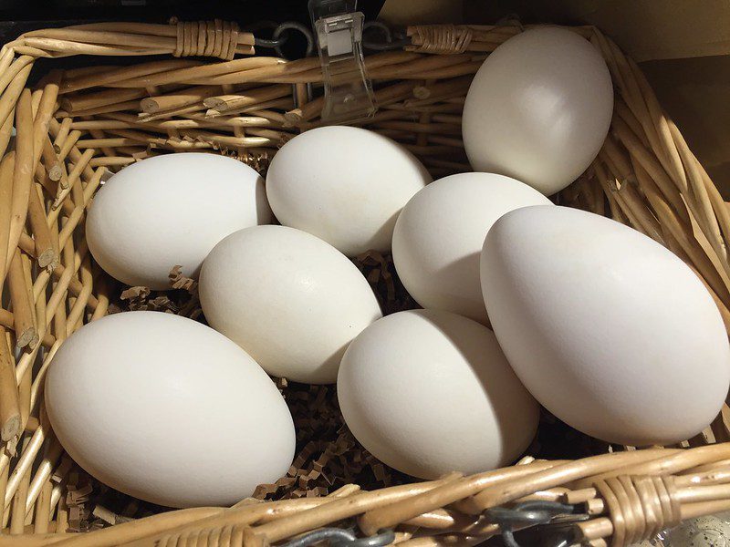 a basket of goose eggs