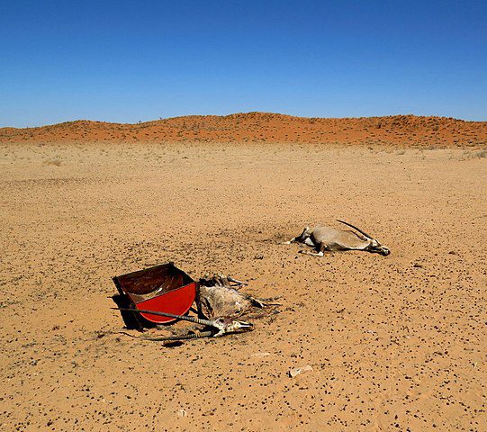 Namibia drought