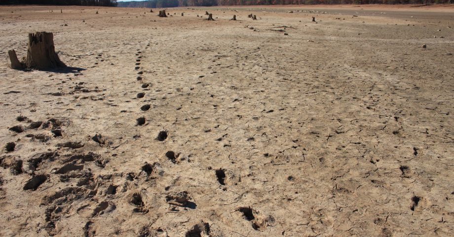 cracked soil brought about by drought