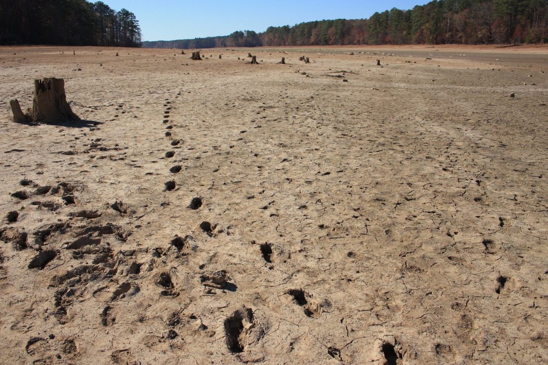 10 Devastating Facts About Drought Fact City