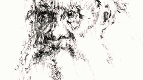 Sketch of Leo Tolstoy