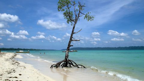 Havelock Island, Andaman Sea, Andaman and Nicobar Islands, India