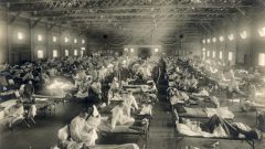 The Spanish Flu