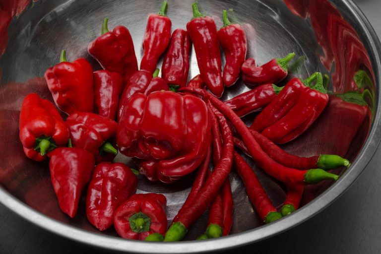 10 Spicy Facts About Chili Peppers Fact City