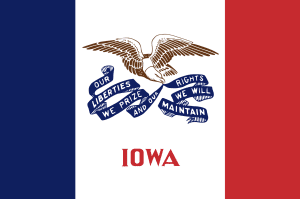 The Iowa State Flag