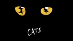 Cats the musical