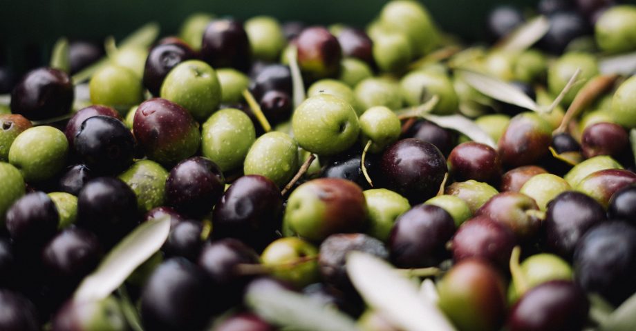 National Olive Day - 1st June