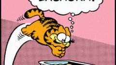 garfield