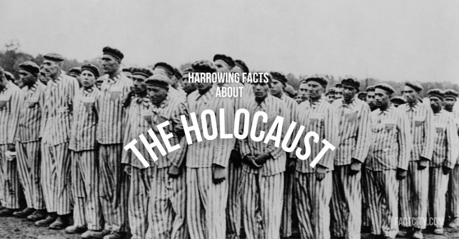 Holocaust header